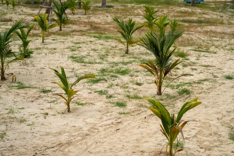 重庆恒凡达建筑工程施工阶段工程监理核心要点解析