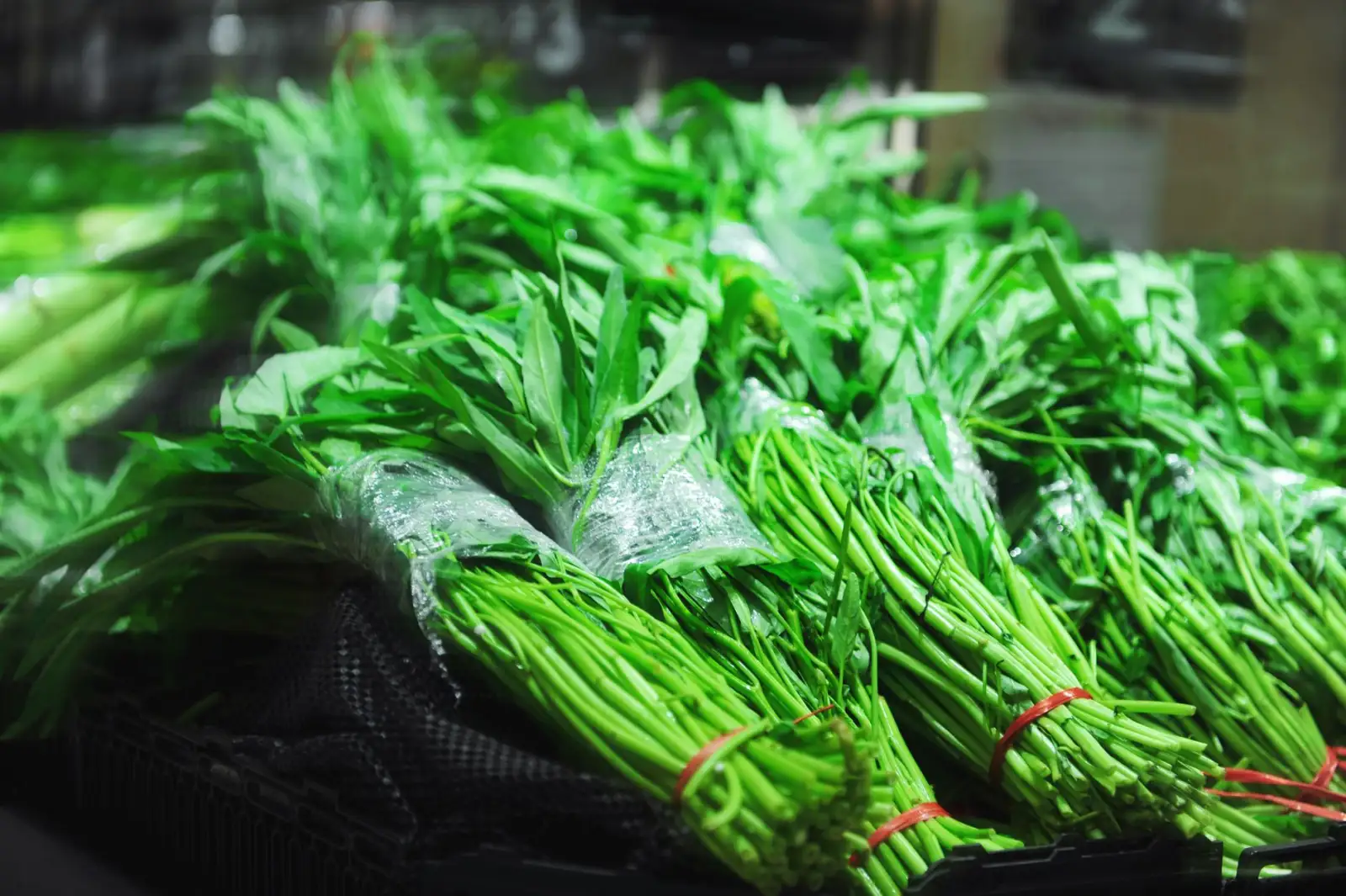 重庆地区工程监理与项目管理协同难点及对策分析