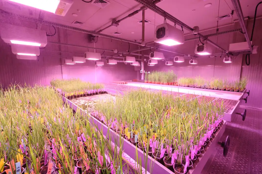 重庆地区工程监理在住建项目中的投资控制要点分析