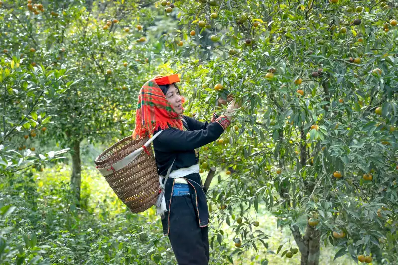 重庆工程监理服务内容详解：恒凡达如何实现投资全过程控制