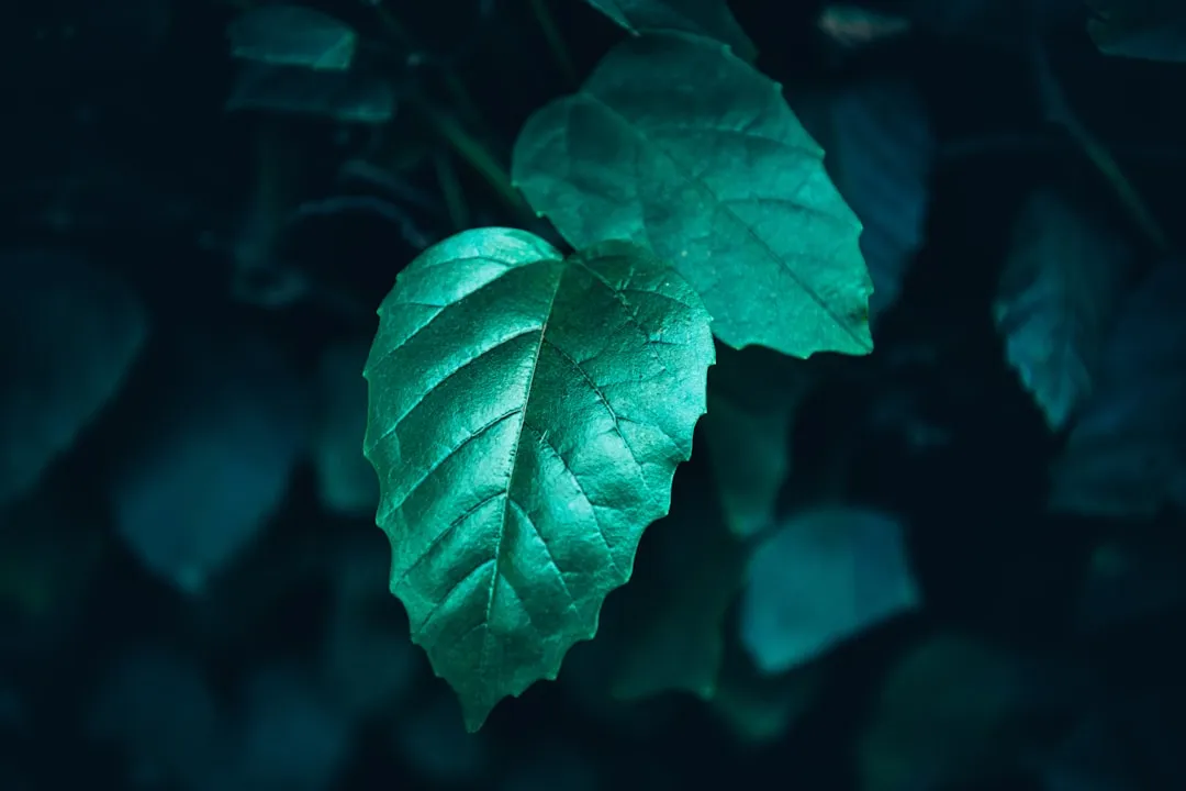西南地区项目管理与造价咨询协同服务模式解析