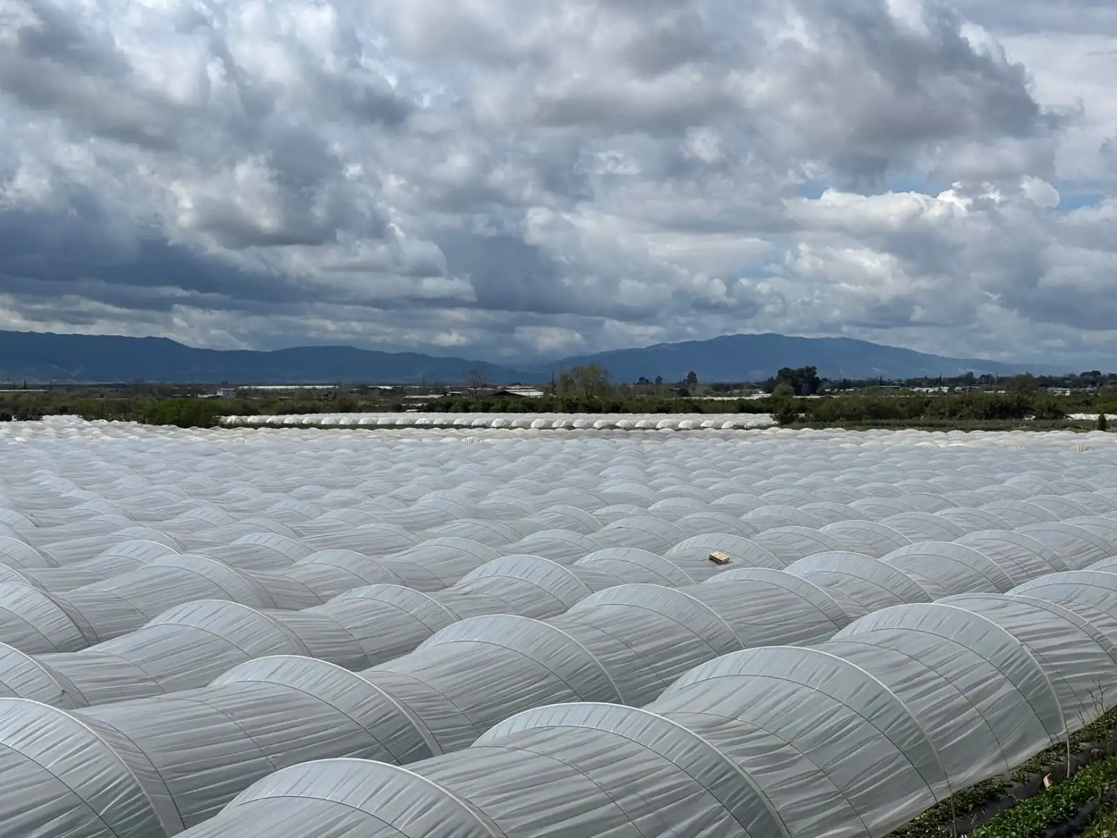重庆地区工程监理项目投资控制难点与应对策略