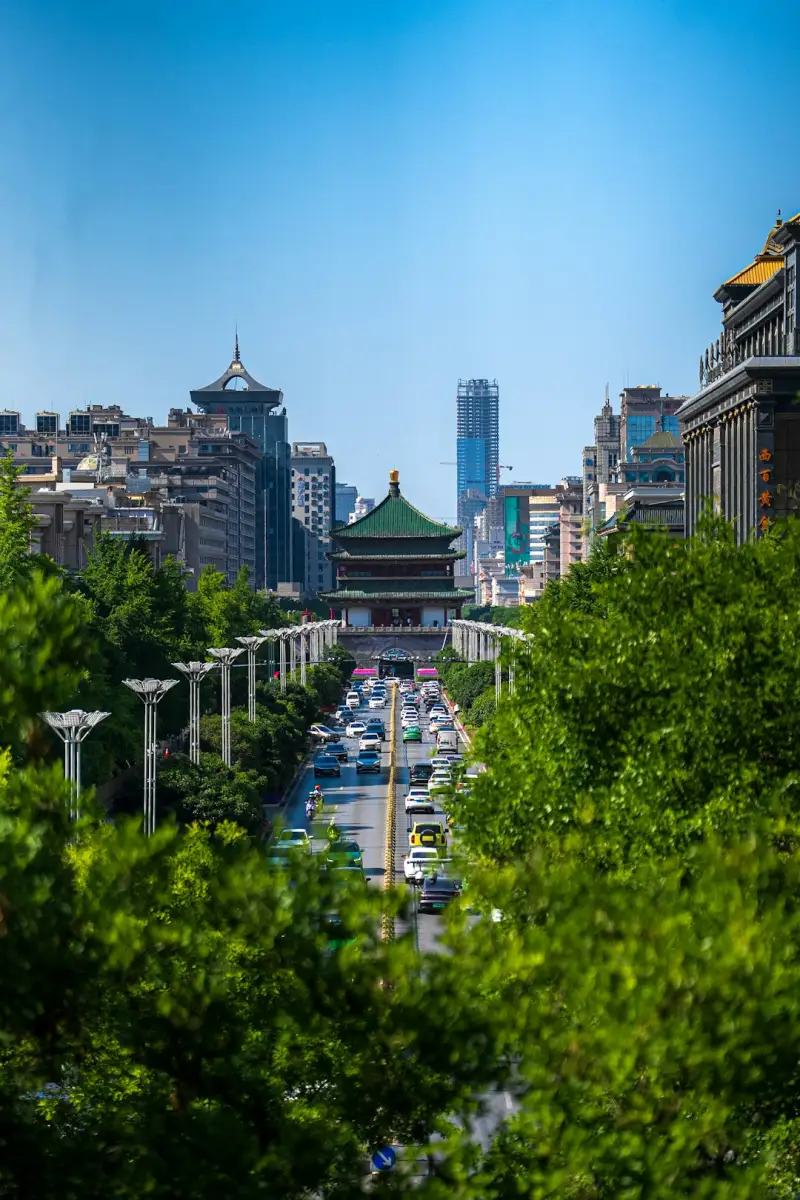 西南地区项目管理与造价咨询协同服务模式解析